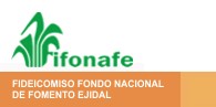 Fideicomiso Fondo Nacional de Fomento Ejidal